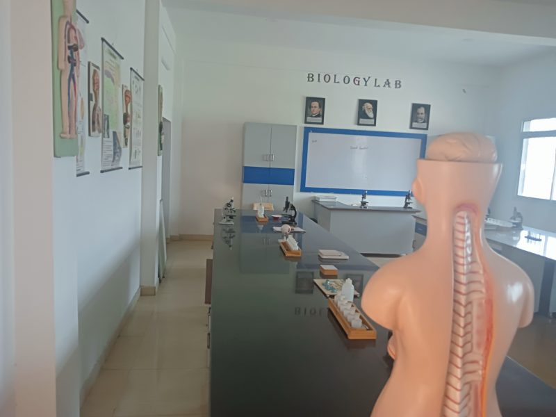 test